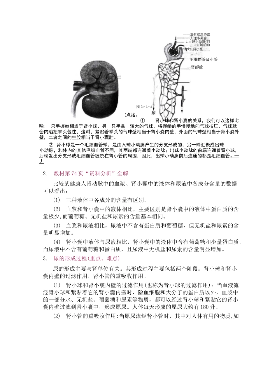 人体内废物的排出_第3页