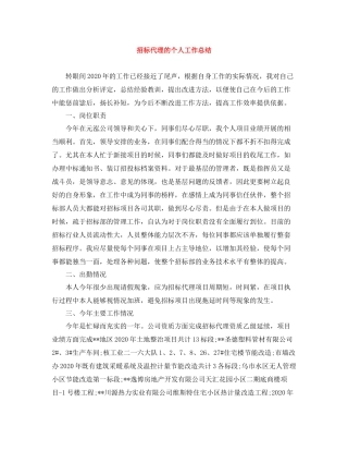 招标代理的个人工作总结