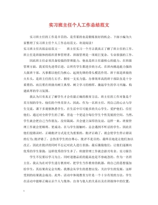 实习班主任个人工作总结范文