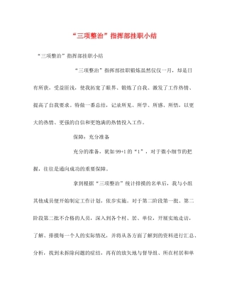 三项整治指挥部挂职小结