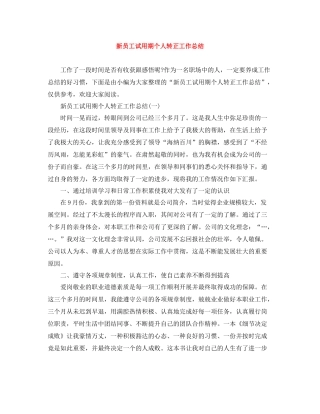 新员工试用期个人转正工作总结