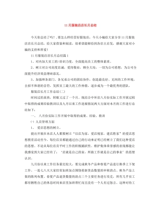 11月服装店店长月总结