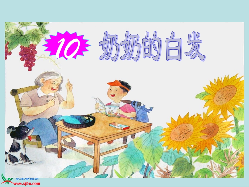 《奶奶的白发》PPT课件之一(苏教版一年级语文下册课件)_第1页