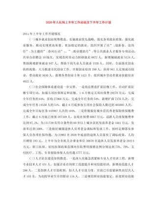 2020年人社局上半年工作总结及下半年工作计划 