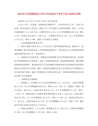 2020年今年县财政局上半年工作总结及下半年工作计划范文安排 