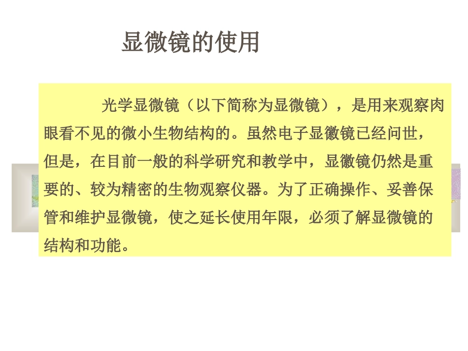 显微镜的使用方法课件_第2页
