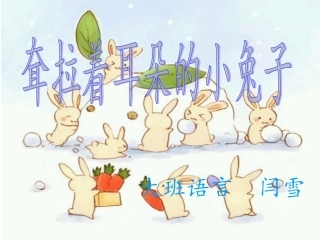 耷拉着耳朵的兔子