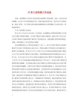 IT员工试用期工作总结