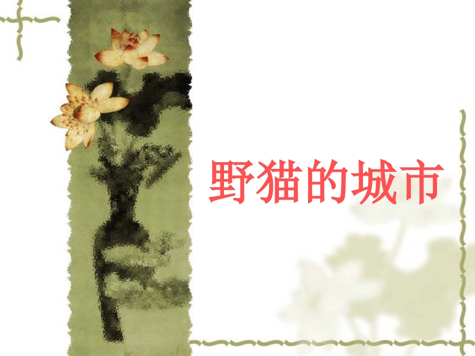 野猫的城市PPT课件2_第1页