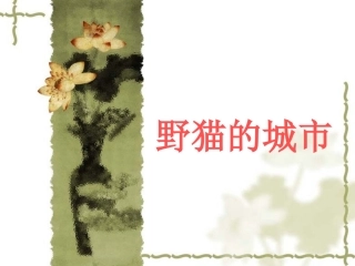 野猫的城市PPT课件2