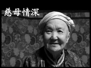 慈母情深-课件