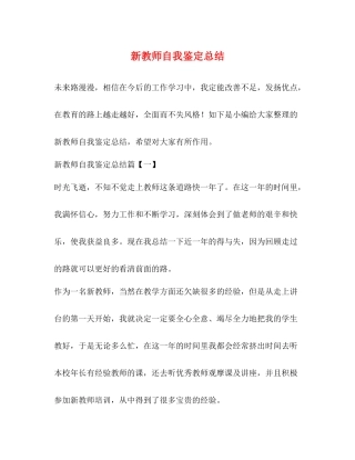 新教师自我鉴定总结