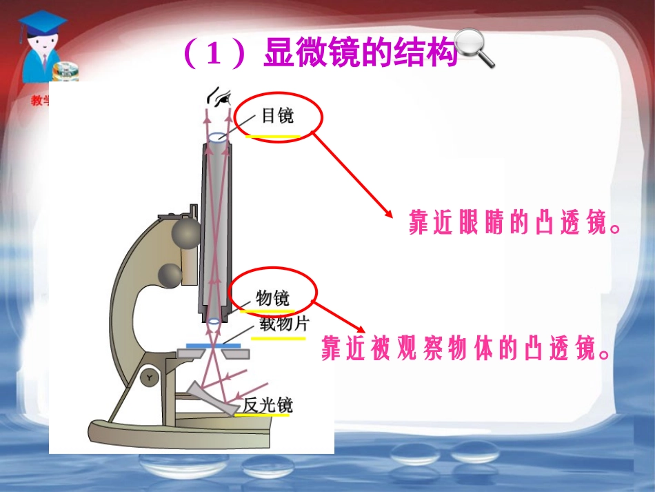 显微镜和望远镜 (2)_第3页