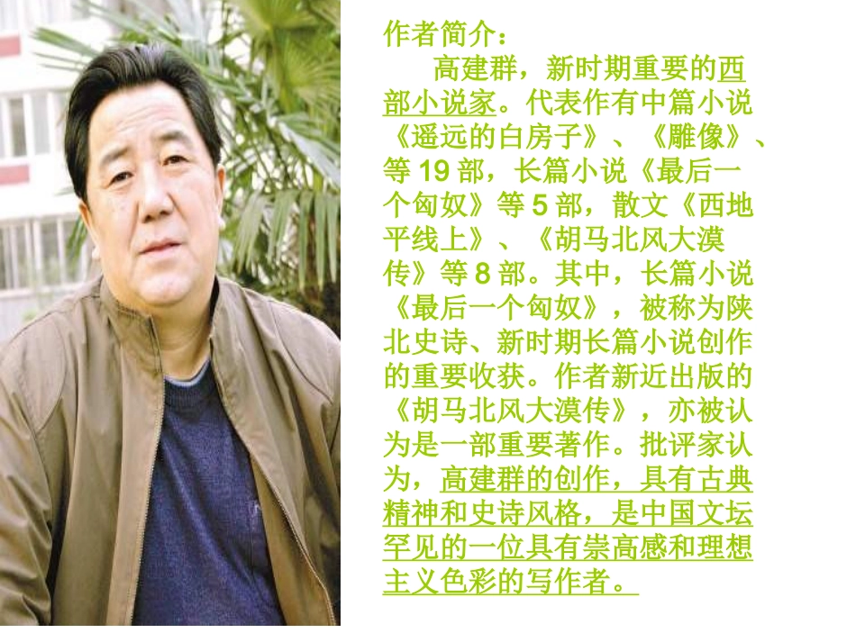 《西部地平线上的落日》_第2页