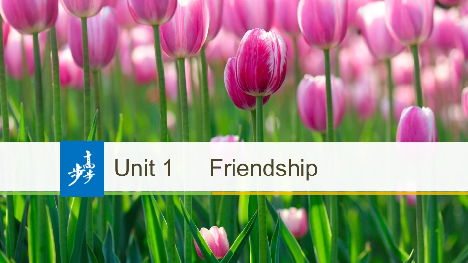 -版：（全国）必修一UnitFriendship-WarmingUp，Pre-reading&Reading（步步高）_第1页