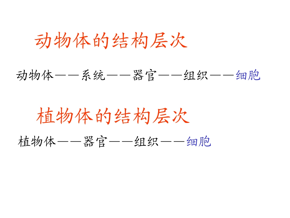 单细胞生物体课件河北省广宗县第三中学冀少版生物七年级上册(共张PPT)_第2页