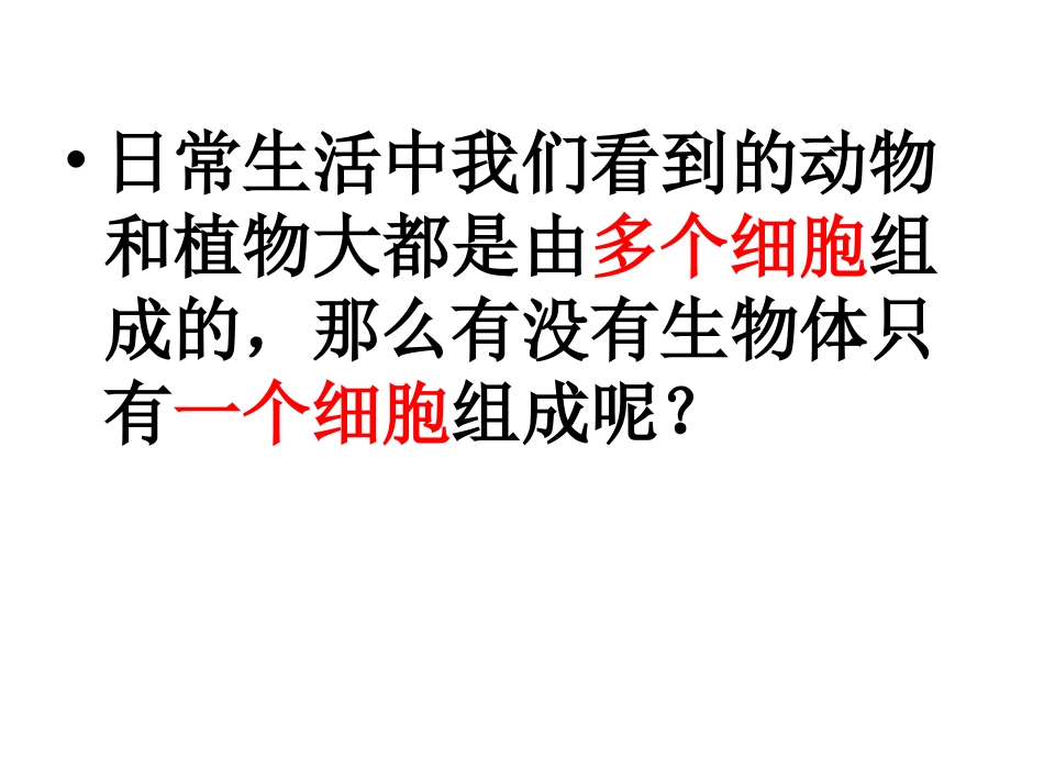 单细胞生物体课件河北省广宗县第三中学冀少版生物七年级上册(共张PPT)_第3页