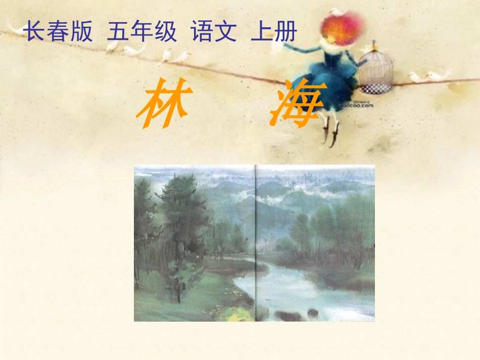 《林海》PPT课件_第1页