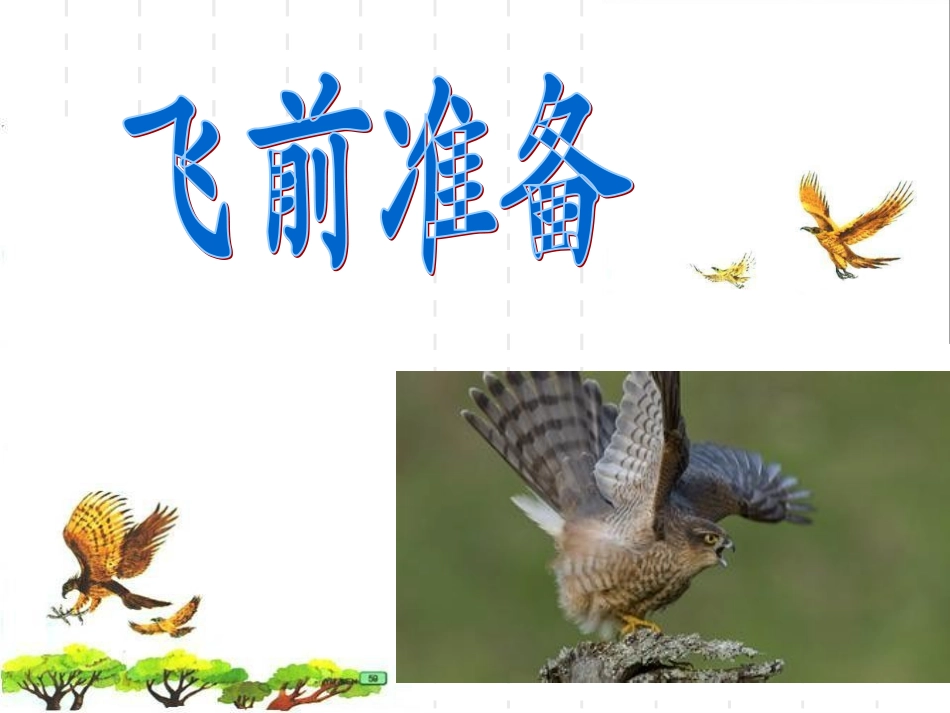 《小鹰学飞》录课_第3页