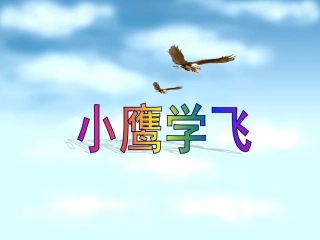 《小鹰学飞》录课