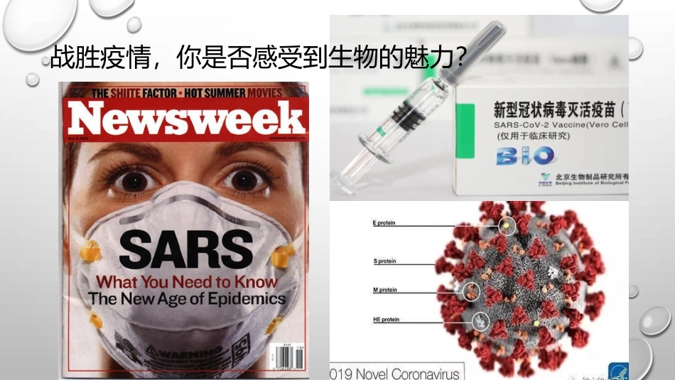 高中生物开学第一课（走近生物学）(共34张PPT)_第2页