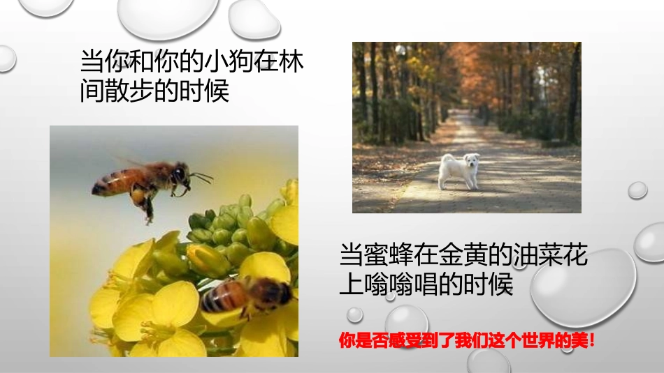 高中生物开学第一课（走近生物学）(共34张PPT)_第3页