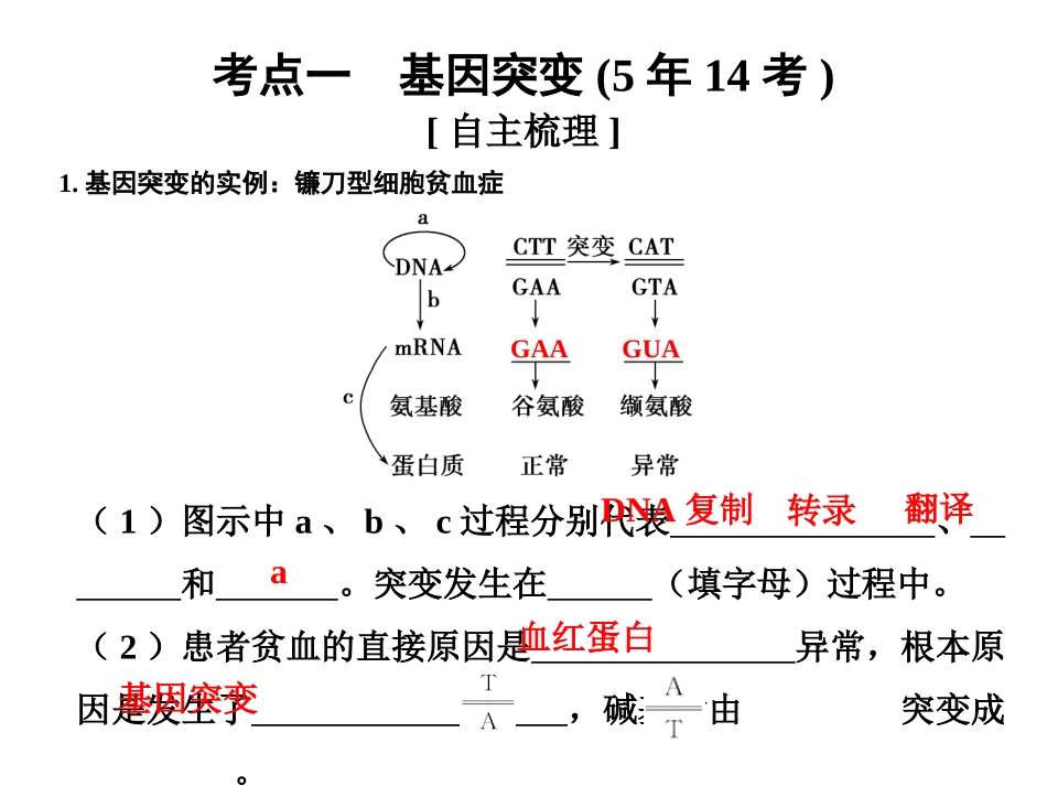 一轮复习基因突变和基因重组课件41_第2页
