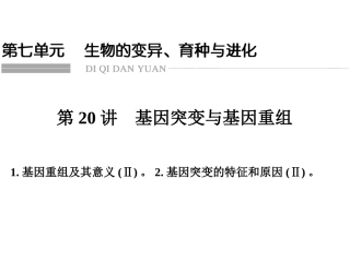 一轮复习基因突变和基因重组课件41