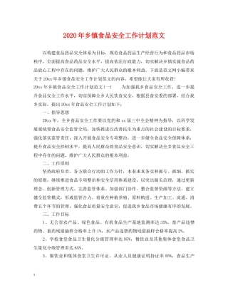 2020年乡镇食品安全工作计划范文 