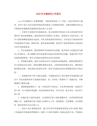 2020年乡镇组织工作要点 