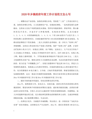 2020年乡镇政府年度工作计划范文怎么写 