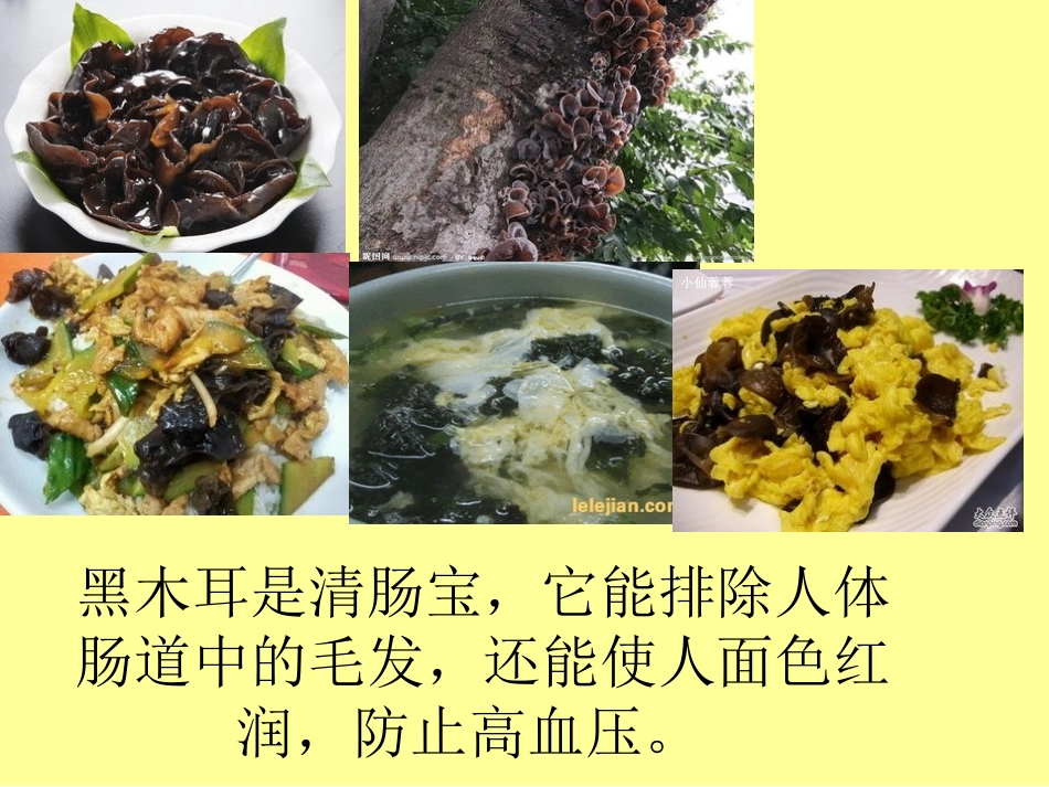 黑色食品营养大_第1页
