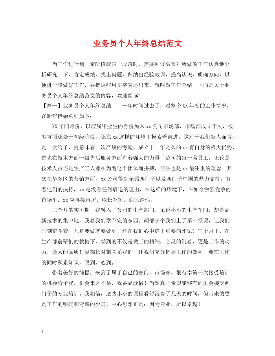 业务员个人年终总结范文2_第1页