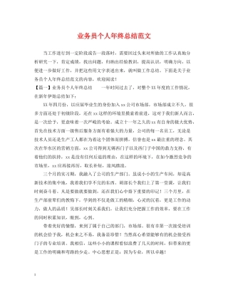 业务员个人年终总结范文2