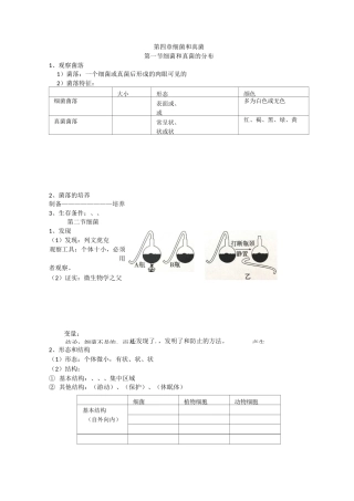 初中生物会考复习细菌和真菌