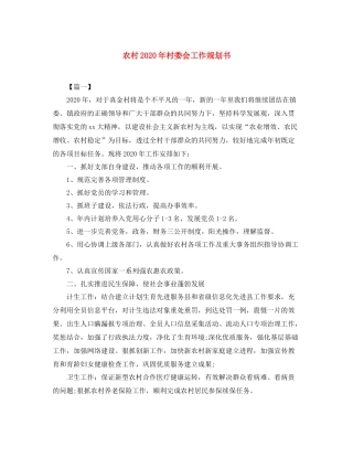 农村年村委会工作规划书
