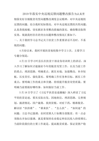 中央巡视组反馈问题整改报告