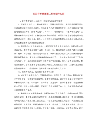 2020年乡镇团委工作计划开头语 