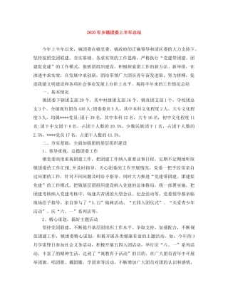 2020年乡镇团委上半年总结 