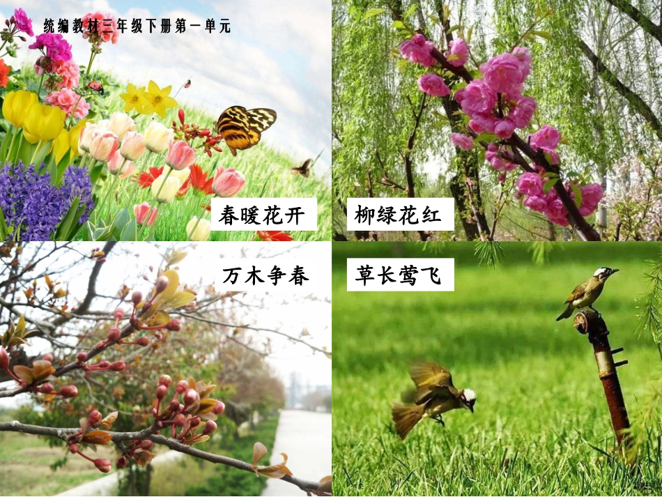 《古诗三首》_第2页