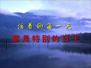 （好）活着的每一天