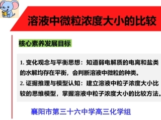 高三网课微粒浓度大小比较