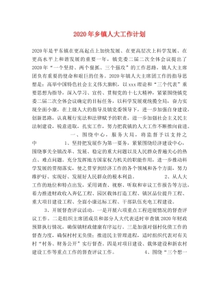 2020年乡镇人大工作计划 