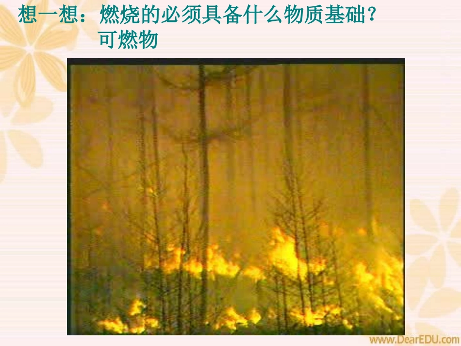 燃烧与灭火2_第3页