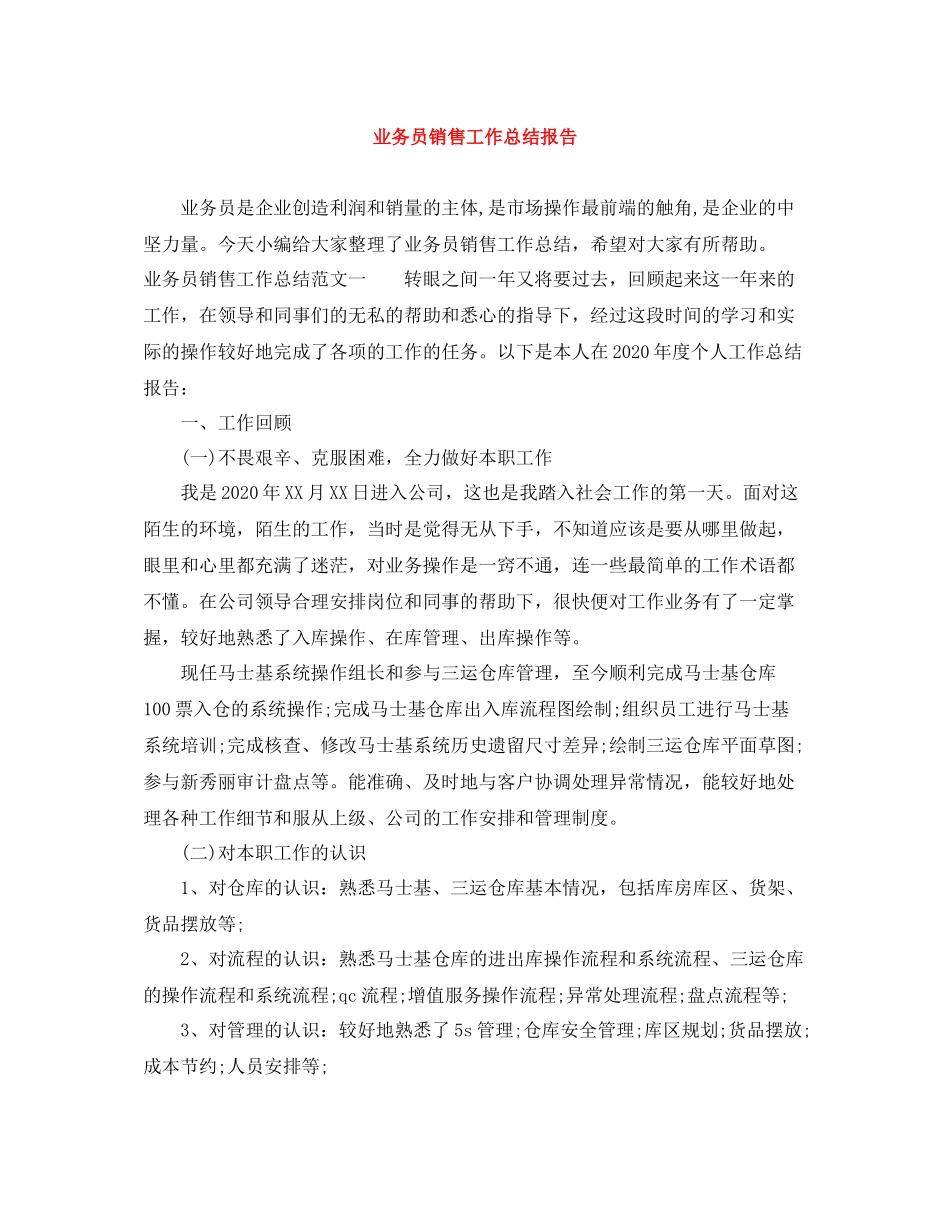 业务员销售工作总结报告_第1页