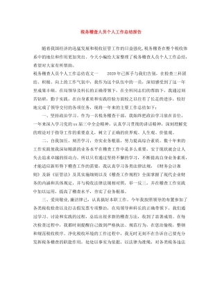 税务稽查人员个人工作总结报告
