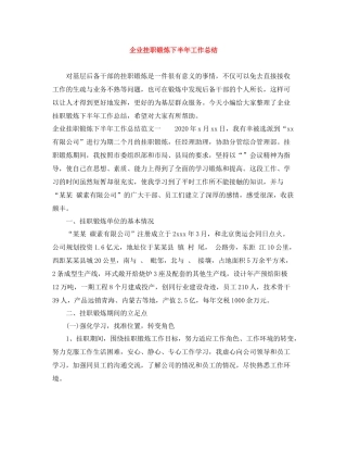 企业挂职锻炼下半年工作总结