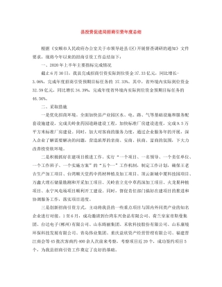县投资促进局招商引资年度总结