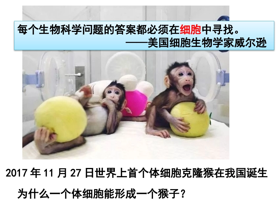 细胞是生命活动的基本单位_第1页