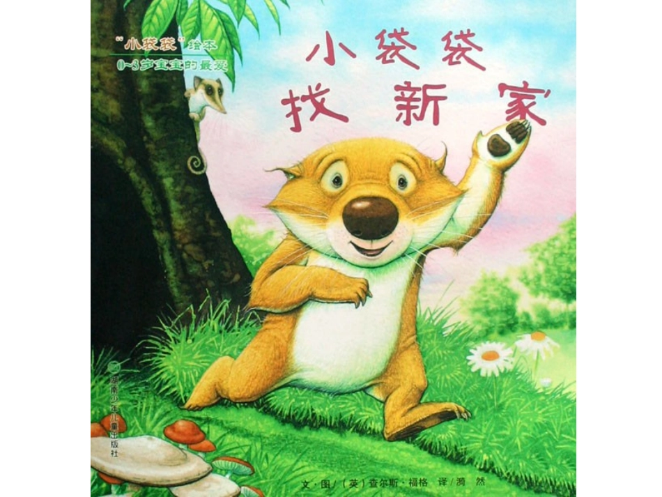 小袋袋找新家_第1页